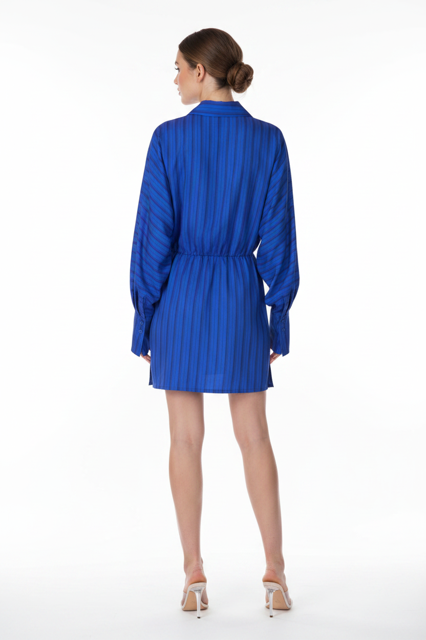 Striped Button-Down Mini Dress