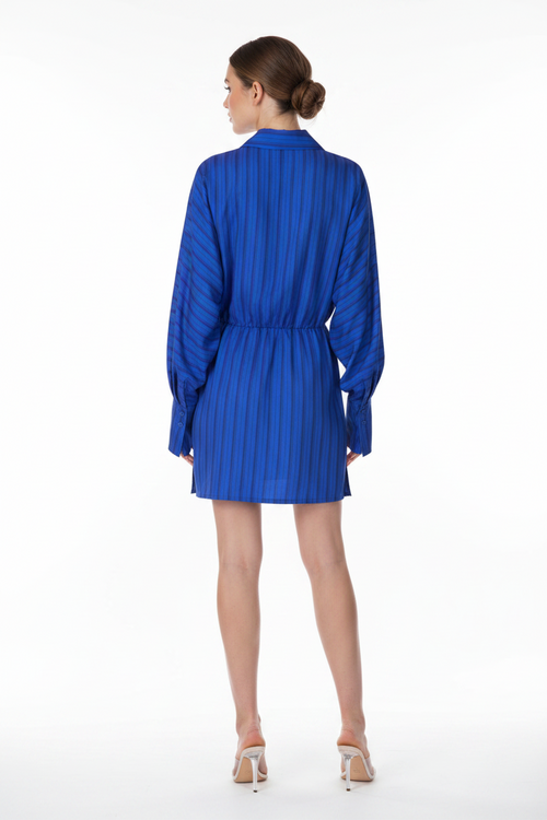 Striped Button-Down Mini Dress